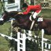 Caballos italianos: un tema siempre abierto