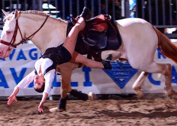 Sara Nuti, orgogliosamente testarda: dai sogni ai grandi spettacoli equestri