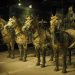 Confucio, cavalli e saggezza nell’Anno del Cavallo di Fuoco