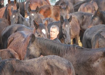 È morto Manlio Fani, quello del Branco Nero