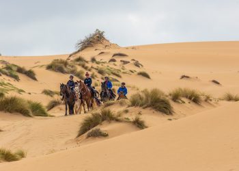 Arborea, l’altra Sardegna: per un viaggio diverso