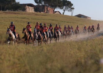 Perugia, al via il Fei Endurance Forum 2026