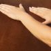 Massaggi equini: occhi aperti sul drago alato