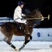 Valle d’Aosta, Polo, cavalli e sport equestri, nei numeri FISE la grande passione