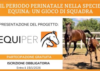 2a Giornata dell’Allevatore