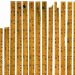 Dalla Cina un  testo scritto 2.000 anni fa su  cura e addestramento dei cavalli