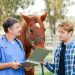 Il certificato di idoneità sportiva del cavallo atleta
