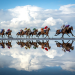 World Sports Photography: il potere di uno scatto