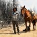 Patagonia: la biodiversità del Parco Los Alerces minacciata dalle fiamme