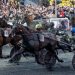 Trionfo del binomio Hokkaido Jiel e Franck Nivard nel Prix d’Amerique 2026