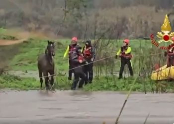 Sardegna, il ciclone Harry allenta la presa: salvati 3 cavalli dai Vigili del Fuoco