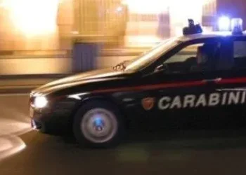 Ancona, furti nella notte: rubate anche selle e abbigliamento da equitazione