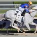 La Pegasus World Cup, il primo grande appuntamento del 2026