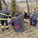 Nocera Umbra, cavalla salvata dopo un volo di 4 metri nel torrente
