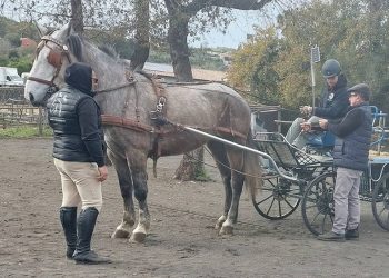 Una patente di competenza