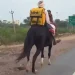 India: la spesa arriva a cavallo