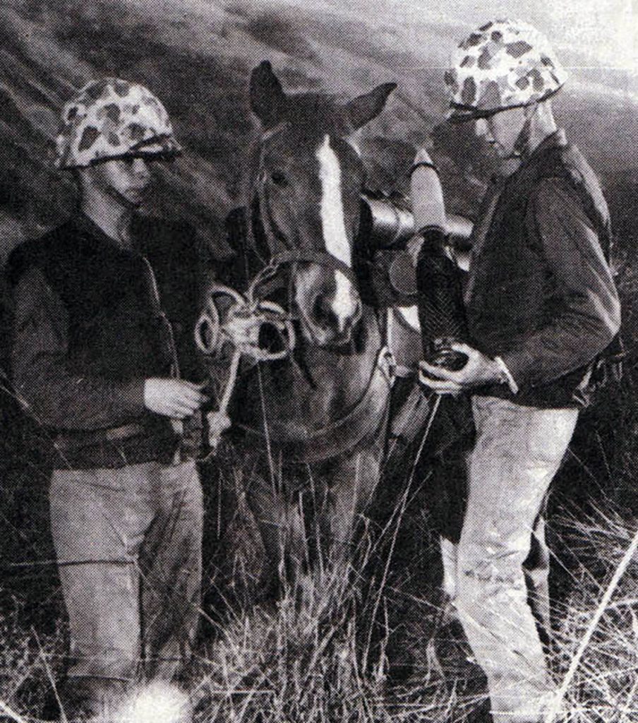 Sgt Reckless MCRD SDMHS 3 of 4WEB 904x1024