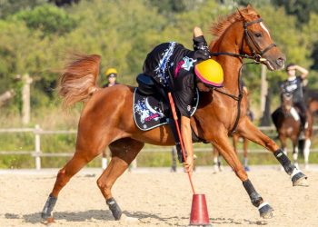Mounted Games: il programma sportivo 2026