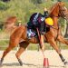 Mounted Games: il programma sportivo 2026