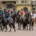 CavallinCittà Arezzo: la 15ª edizione tra trekking, spettacoli e tradizione