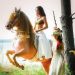 Nuovo Corso di Spettacolo Equestre al Centro Equestre Teatro Zebre