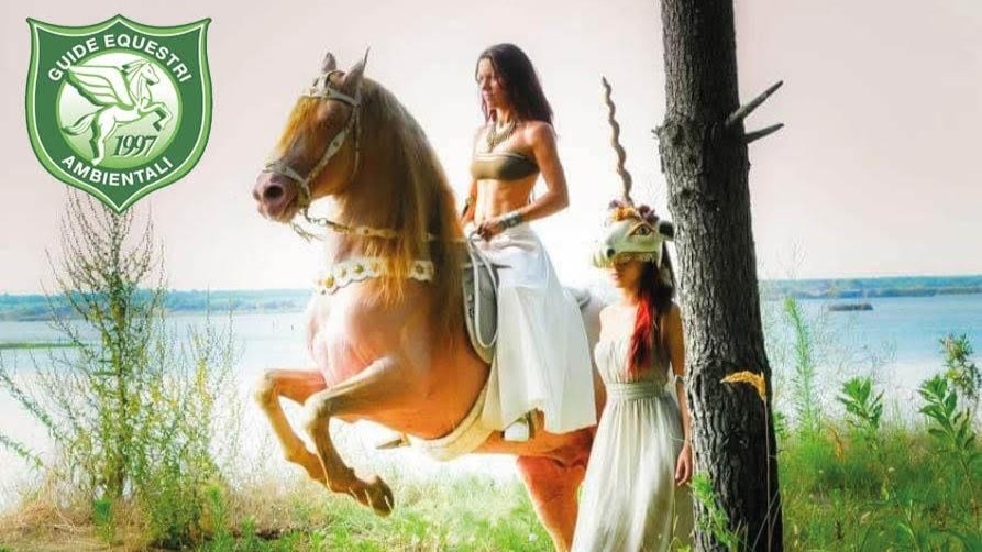 Nuovo Corso di Spettacolo Equestre al Centro Equestre Teatro Zebre