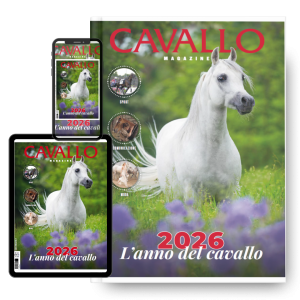 ABBONAMENTO ANNUALE