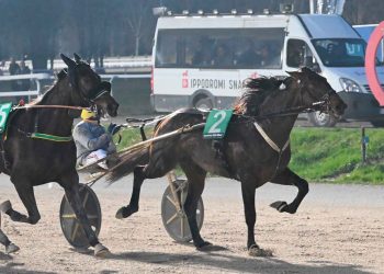 Fakir Roc vince il Gp. Mario Locatelli
