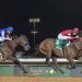 Saudi Cup: Forever Young colpisce ancora!