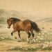 Cina, una antica gara di pittura: e il cavallo che li ha profumati…