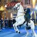 Sanremo: di che colore era il cavallo bianco di Bocelli?