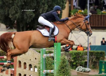 Italia: entra Antonia Vita Pinardi