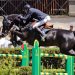 Gorla: solo stranieri ma vince Emiliano Liberati!