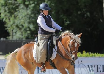 Flora e Vienna, una ‘grande’ Haflinger