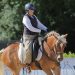Flora e Vienna, una ‘grande’ Haflinger