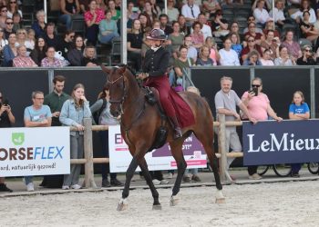 Carletto, il Murgese da Grand Prix, torna in Italia