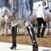 A Parigi in passerella arrivano i cavalli