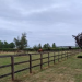 West Sussex: facciamo cassa con i cani