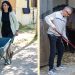 Il corso per ‘genitori equestri’