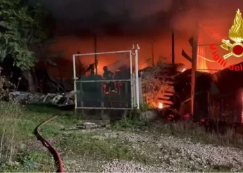 Sant’Angelo Lodigiano, fienile in fiamme: salvati 4 cavalli