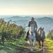 Tra vigneti, vulcani e cavalli in Val d’Alpone