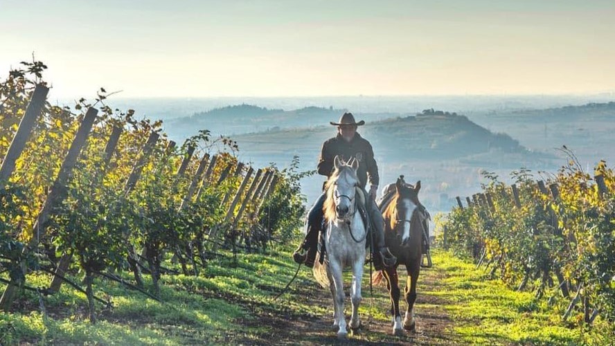 Tra vigneti, vulcani e cavalli in Val d’Alpone