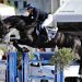 Robert Whitaker conquista Montefalco