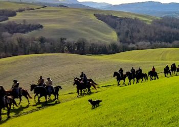 Cavalli, sviluppo rurale e turismo rigenerativo