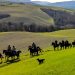 Cavalli, sviluppo rurale e turismo rigenerativo