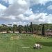 Piazza di Siena: ecco gli azzurri