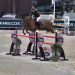 Csio in Belgio: Angelica Pellicari brilla tra gli young rider
