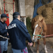I ‘clandestini’ a San Cristoforo finiscono nella App
