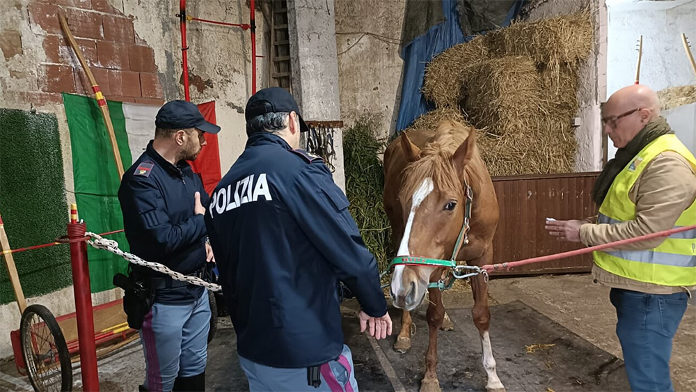 Schermata 2026 04 28 alle 12.57.11