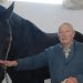 Terlizzi, intervista al proprietario del cavallo coinvolto nell’incidente